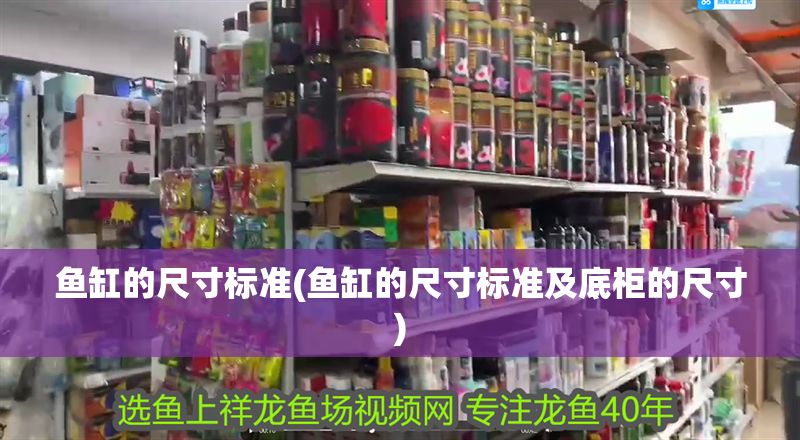 魚缸的尺寸標準(魚缸的尺寸標準及底柜的尺寸)