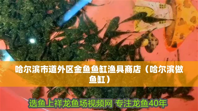 哈爾濱市道外區金魚魚缸漁具商店（哈爾濱做魚缸）