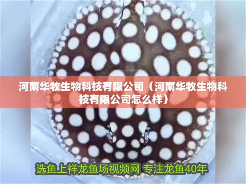 河南華牧生物科技有限公司（河南華牧生物科技有限公司怎么樣）
