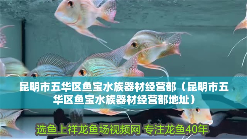 昆明市五華區(qū)魚寶水族器材經(jīng)營部（昆明市五華區(qū)魚寶水族器材經(jīng)營部地址）