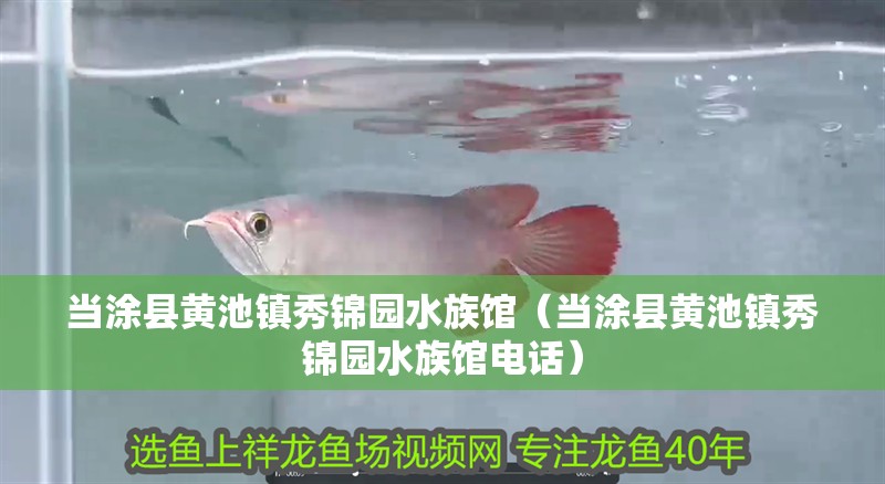 當涂縣黃池鎮(zhèn)秀錦園水族館（當涂縣黃池鎮(zhèn)秀錦園水族館電話）