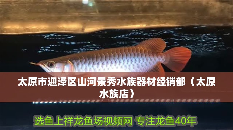 太原市迎澤區(qū)山河景秀水族器材經(jīng)銷部（太原水族店）