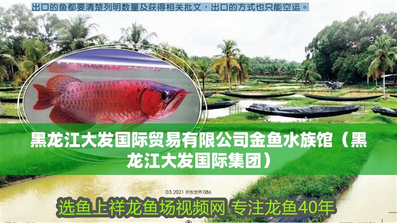 黑龍江大發國際貿易有限公司金魚水族館（黑龍江大發國際集團）