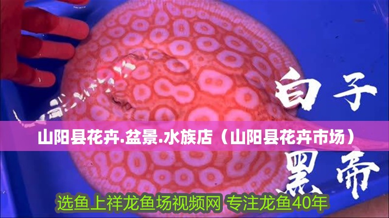 山陽縣花卉.盆景.水族店（山陽縣花卉市場）