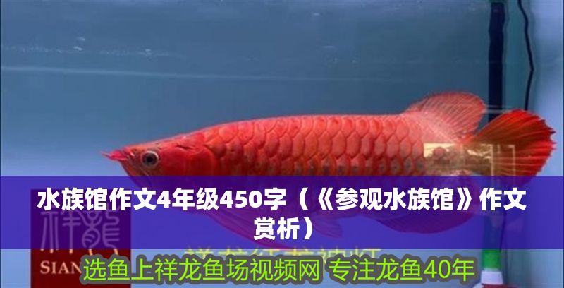水族館作文4年級450字（《參觀水族館》作文賞析）
