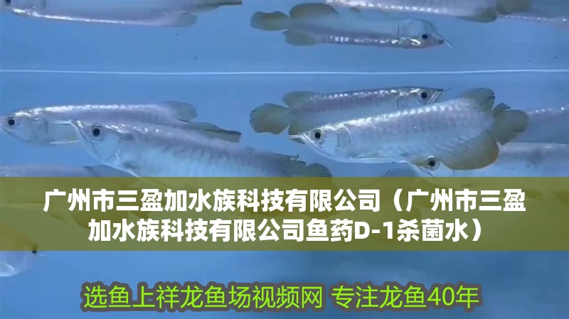 廣州市三盈加水族科技有限公司（廣州市三盈加水族科技有限公司魚藥D-1殺菌水）
