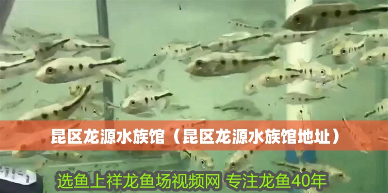 昆區龍源水族館（昆區龍源水族館地址）