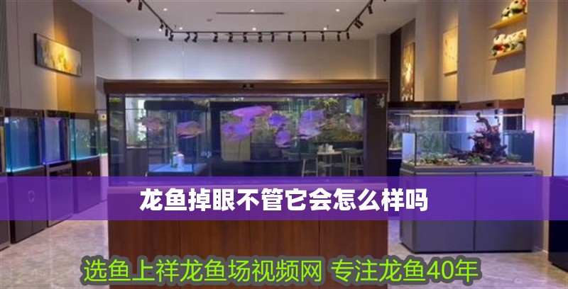 龍魚掉眼不管它會怎么樣嗎