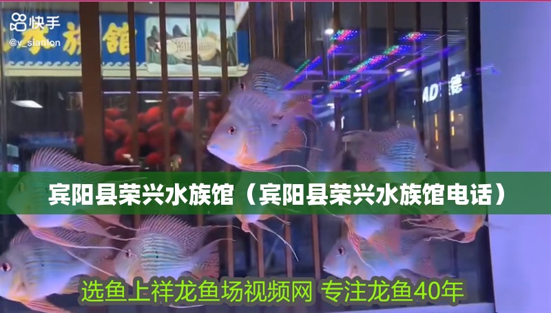 賓陽縣榮興水族館（賓陽縣榮興水族館電話）