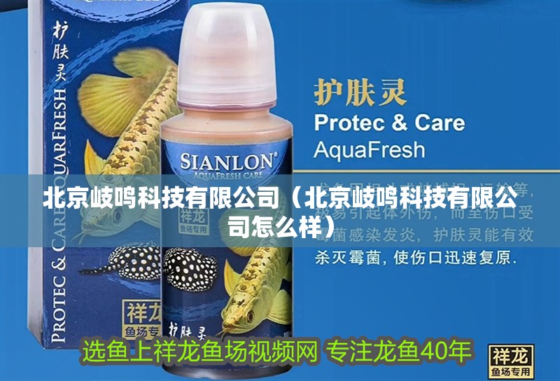 北京岐鳴科技有限公司（北京岐鳴科技有限公司怎么樣）