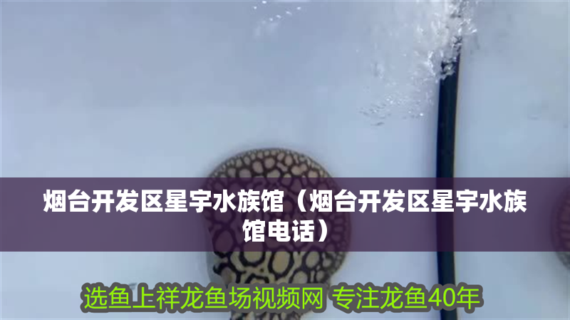 煙臺開發(fā)區(qū)星宇水族館（煙臺開發(fā)區(qū)星宇水族館電話）