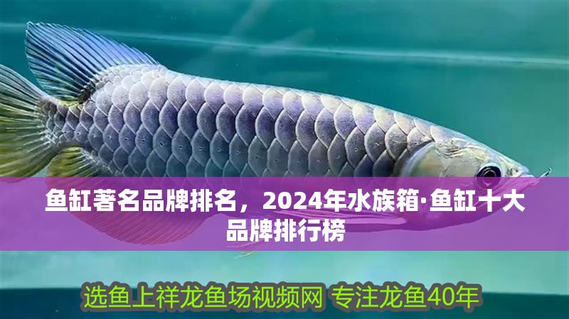 魚缸著名品牌排名，2024年水族箱·魚缸十大品牌排行榜 魚缸著名品牌排名，2024年水族箱·魚缸十大品牌排行榜 魚缸百科 第2張