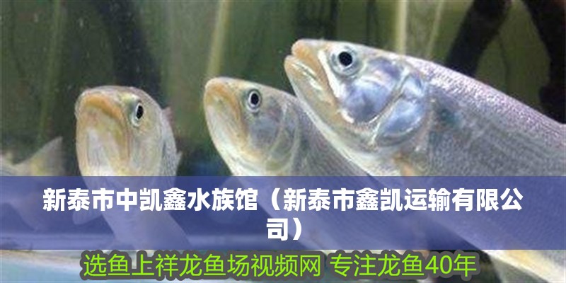 新泰市中凱鑫水族館（新泰市鑫凱運輸有限公司）