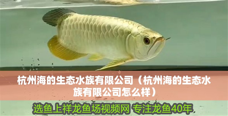 杭州海的生態(tài)水族有限公司（杭州海的生態(tài)水族有限公司怎么樣）