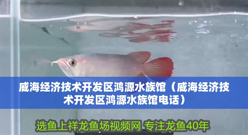 威海經濟技術開發區鴻源水族館（威海經濟技術開發區鴻源水族館電話）