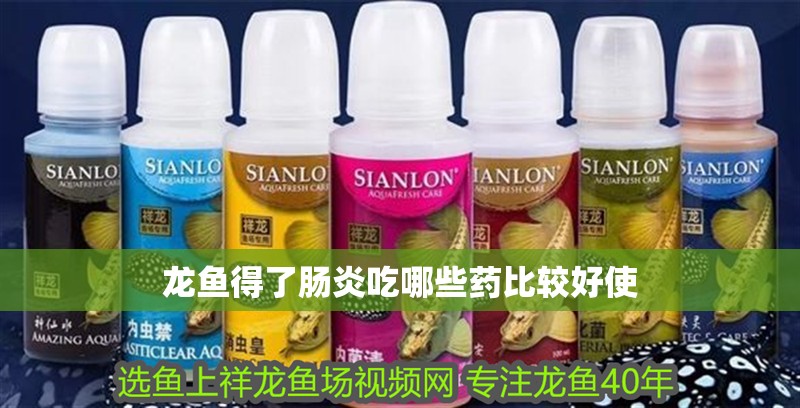 龍魚得了腸炎吃哪些藥比較好使