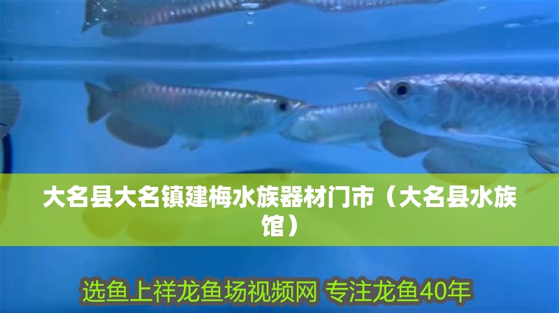 大名縣大名鎮(zhèn)建梅水族器材門市（大名縣水族館）
