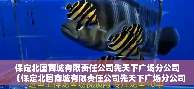 保定北國商城有限責任公司先天下廣場分公司（保定北國商城有限責任公司先天下廣場分公司電話）