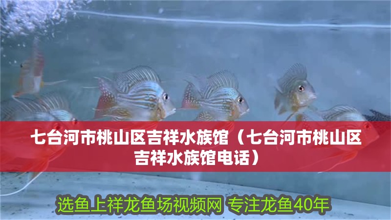 七臺河市桃山區吉祥水族館（七臺河市桃山區吉祥水族館電話）