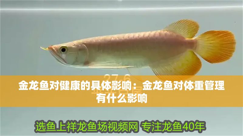 金龍魚對健康的具體影響：金龍魚對體重管理有什么影響 金龍魚對健康的具體影響：金龍魚對體重管理有什么影響 金龍魚百科 第6張