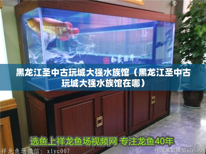 黑龍江圣中古玩城大強水族館（黑龍江圣中古玩城大強水族館在哪）