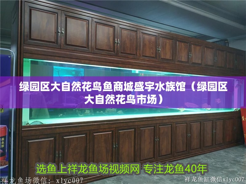 綠園區(qū)大自然花鳥魚商城盛宇水族館（綠園區(qū)大自然花鳥市場）