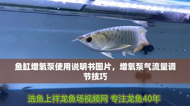 魚缸增氧泵使用說明書圖片，增氧泵氣流量調(diào)節(jié)技巧
