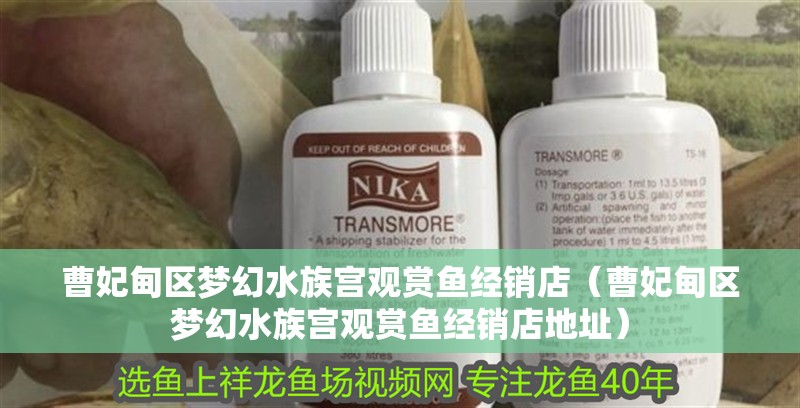 曹妃甸區夢幻水族宮觀賞魚經銷店（曹妃甸區夢幻水族宮觀賞魚經銷店地址）