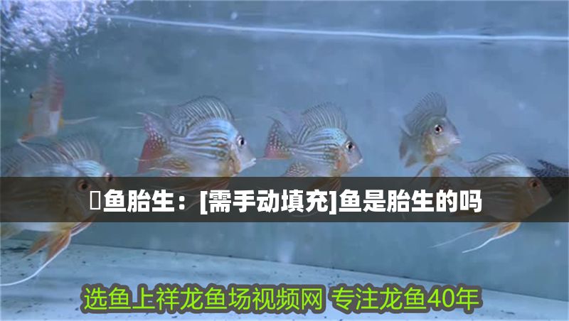 魟魚胎生：[需手動填充]魚是胎生的嗎