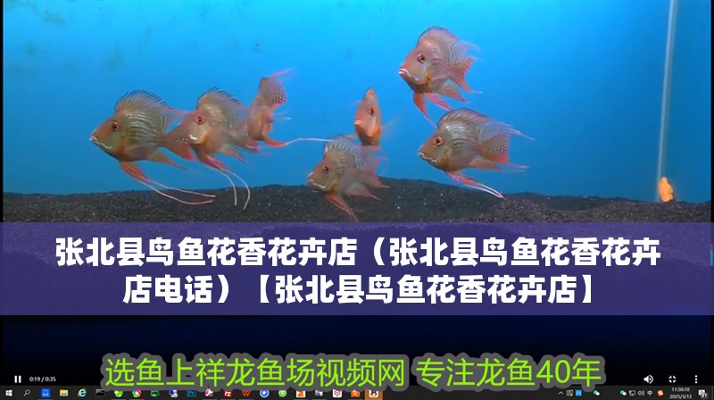 張北縣鳥魚花香花卉店（張北縣鳥魚花香花卉店電話）【張北縣鳥魚花香花卉店】