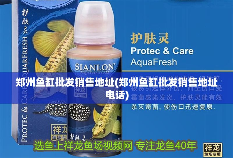 鄭州魚缸批發(fā)銷售地址(鄭州魚缸批發(fā)銷售地址電話)