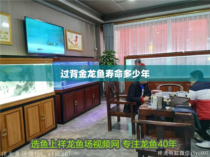 過背金龍魚壽命多少年