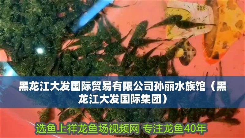 黑龍江大發國際貿易有限公司孫麗水族館（黑龍江大發國際集團）