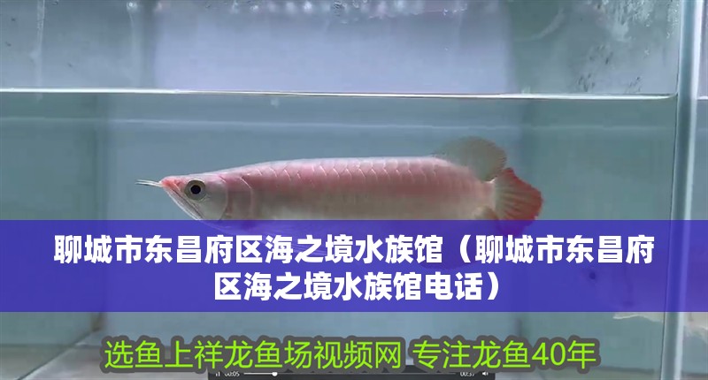 聊城市東昌府區(qū)海之境水族館（聊城市東昌府區(qū)海之境水族館電話）