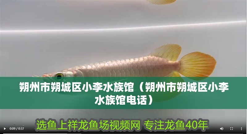 朔州市朔城區(qū)小李水族館（朔州市朔城區(qū)小李水族館電話）