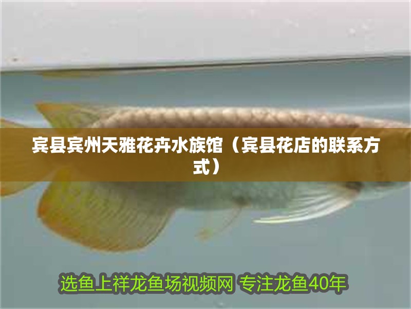 賓縣賓州天雅花卉水族館（賓縣花店的聯系方式）