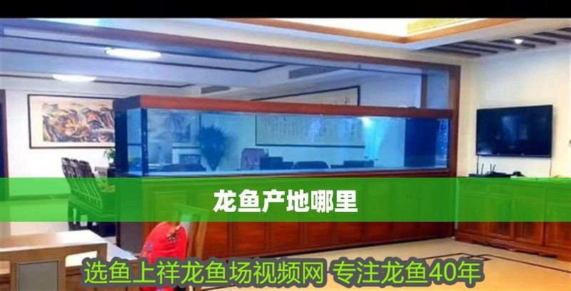 龍魚產(chǎn)地哪里