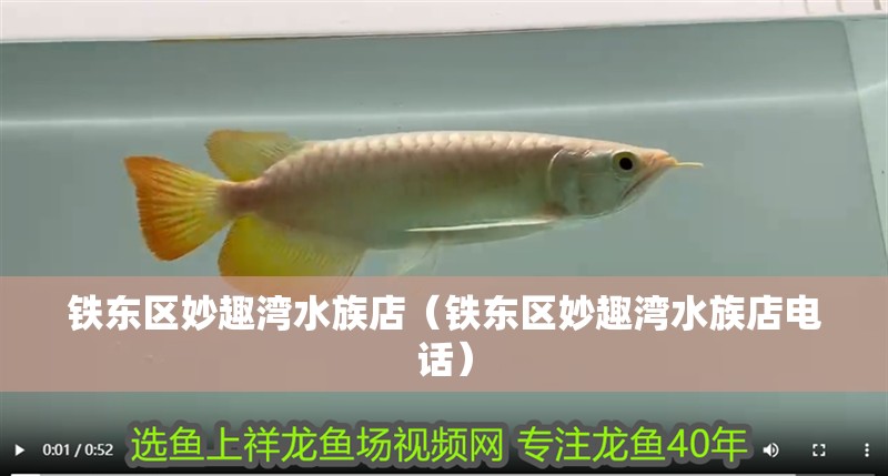 鐵東區(qū)妙趣灣水族店（鐵東區(qū)妙趣灣水族店電話）