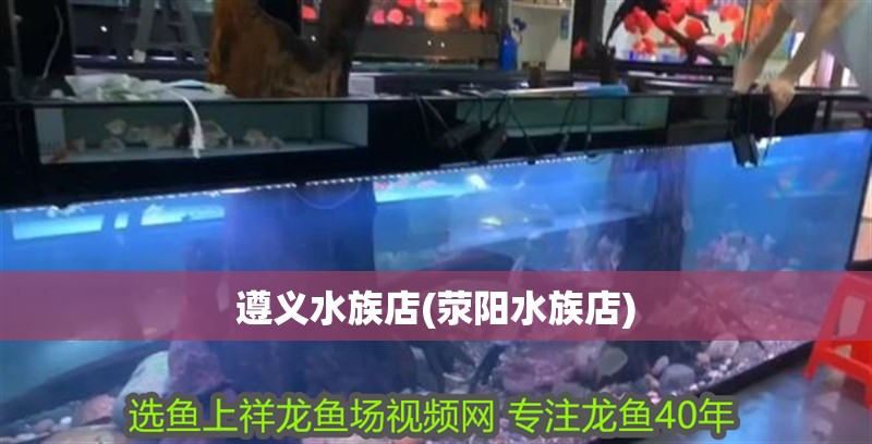 遵義水族店(滎陽(yáng)水族店)
