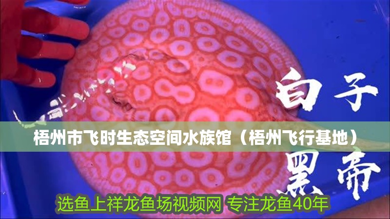 梧州市飛時生態空間水族館（梧州飛行基地）