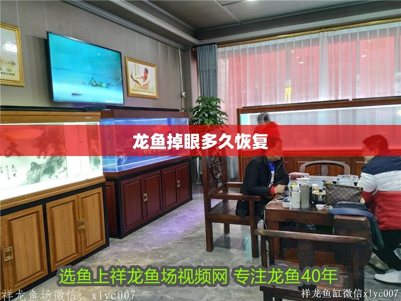 龍魚掉眼多久恢復