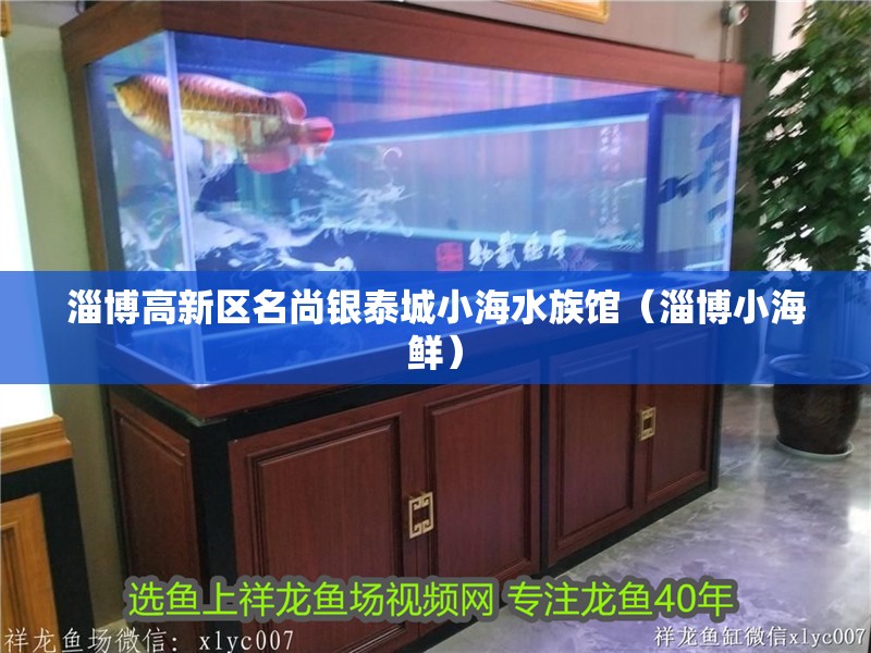 淄博高新區(qū)名尚銀泰城小海水族館（淄博小海鮮）