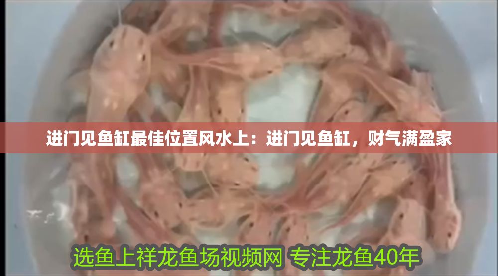 進(jìn)門見魚缸最佳位置風(fēng)水上：進(jìn)門見魚缸，財氣滿盈家