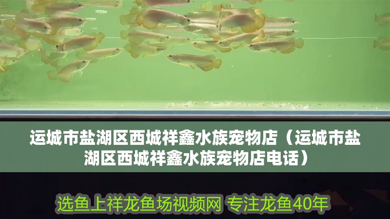 運城市鹽湖區西城祥鑫水族寵物店（運城市鹽湖區西城祥鑫水族寵物店電話）