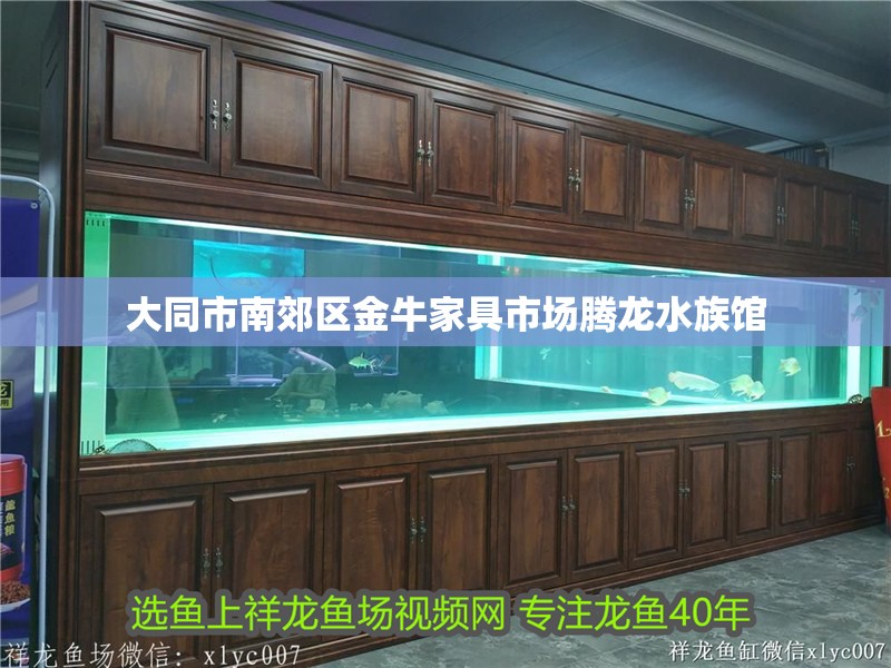 大同市南郊區(qū)金牛家具市場騰龍水族館