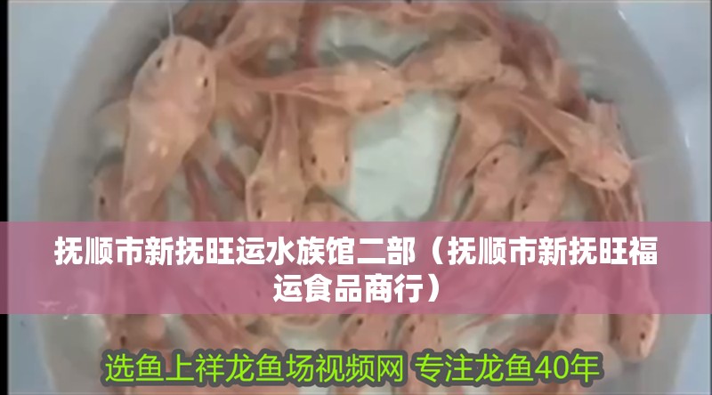 撫順市新撫旺運水族館二部（撫順市新撫旺福運食品商行）