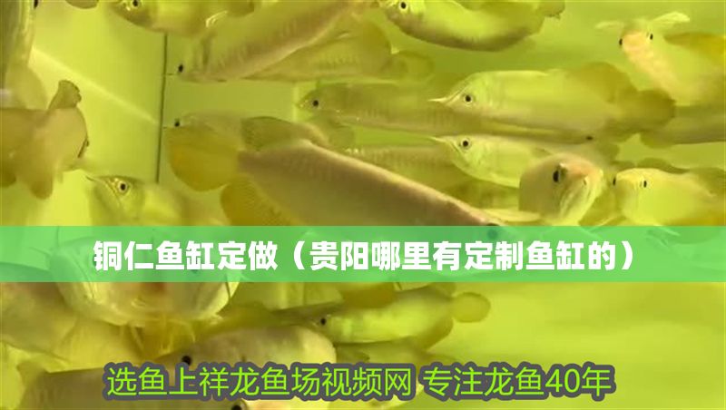 銅仁魚缸定做（貴陽哪里有定制魚缸的）