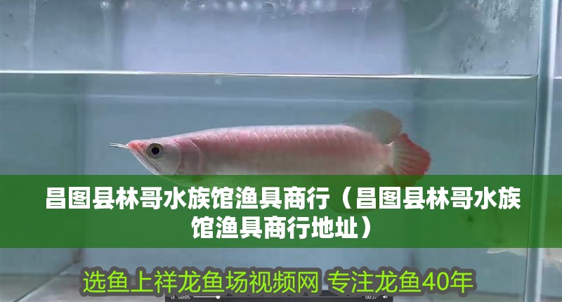 昌圖縣林哥水族館漁具商行（昌圖縣林哥水族館漁具商行地址）