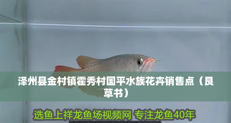 澤州縣金村鎮霍秀村國平水族花卉銷售點（艮草書）