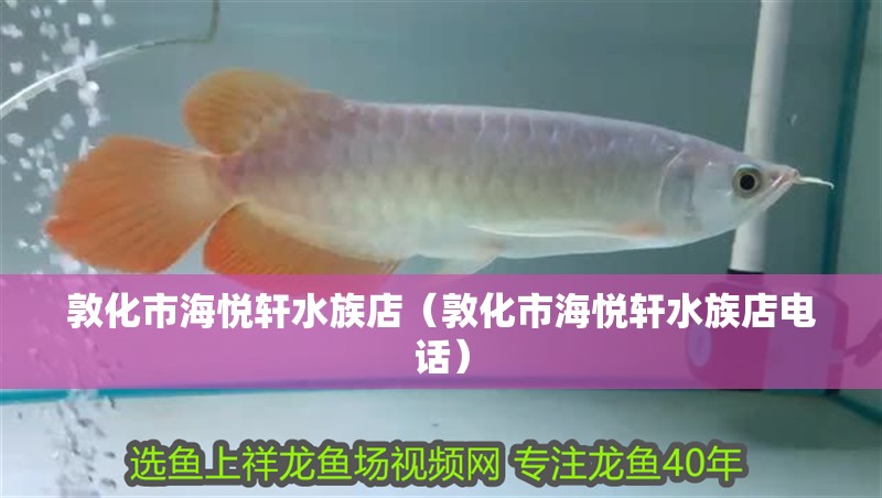 敦化市海悅軒水族店（敦化市海悅軒水族店電話）